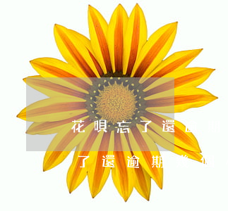 花唄忘了還逾期幾個小時有影響嗎-花唄忘了還逾期幾個小時有影響嗎怎么辦