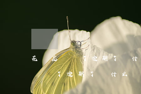 花唄忘記還了逾期了為什么還不了-花唄忘記還了逾期了為什么還不了款