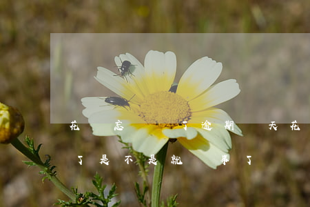 花唄忘記還了逾期幾天(花唄逾期幾天后還清了是不是就沒事了)