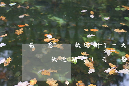 花唄忘記還款逾期了一天有影響嗎-花唄忘記還款逾期了1天會影響自己的征信