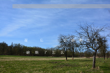 花唄忘記還款逾期怎么辦(支付寶借唄忘記還逾期了怎么辦)