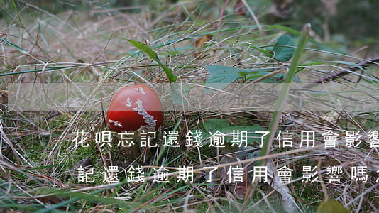 花唄忘記還錢逾期了信用會影響嗎-花唄忘記還錢逾期了信用會影響嗎怎么辦