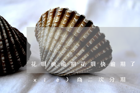 花唄快逾期，花唄快逾期了怎么和支付寶協(xié)商二次分期