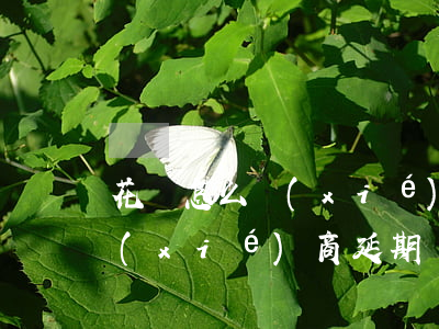 花唄怎么協(xié)商延期-花唄怎么協(xié)商延期還款