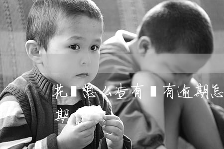花唄怎么查有沒有逾期(怎么看花唄有沒有逾期)