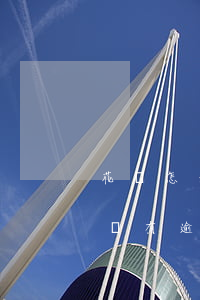 花唄怎么查看有沒有逾期(怎么看花唄之前有沒有逾期)