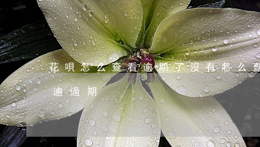 花唄怎么查看逾期了沒有(怎么查花唄有沒有逾過期)