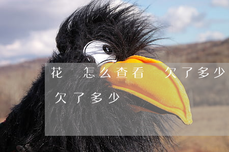 花唄怎么查看還欠了多少錢(花唄怎么查看還欠了多少錢)