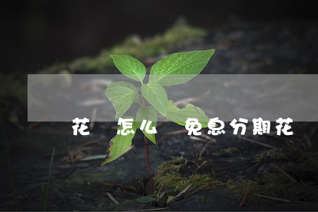 花唄怎么樣免息分期 花唄如何免息分期付款