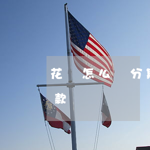 花唄怎么樣分期免息-花唄怎么分期免息付款