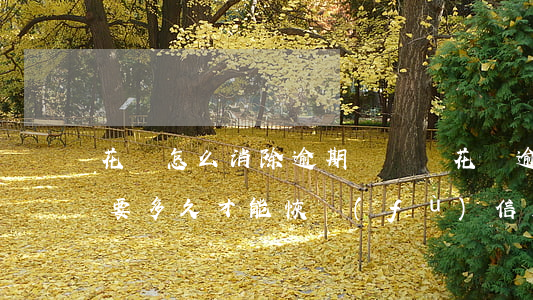 花唄怎么消除逾期記錄嗎(花唄逾期記錄消除要多久才能恢復(fù)信用)