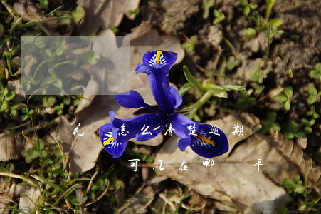 花唄怎么清楚逾期記錄嗎(花唄之前有過逾期記錄可以在哪個平臺貸款)