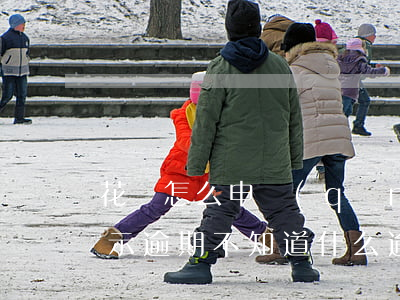 花唄怎么申請(qǐng)花唄逾期(花唄顯示逾期不知道什么逾期了怎么處理)