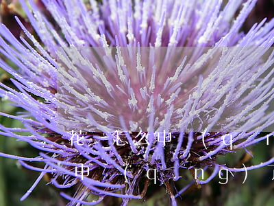 花唄怎么申請(qǐng)逾期還款嗎(花唄申請(qǐng)了延期還款為什么還是逾期了)