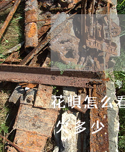 花唄怎么看自己還欠多少(花唄怎么看自己還欠多少)