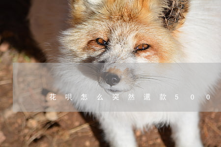 花唄怎么突然還款500多要還-