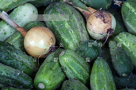 花唄怎么立馬提升額度10000（花唄怎么立馬提升額度）