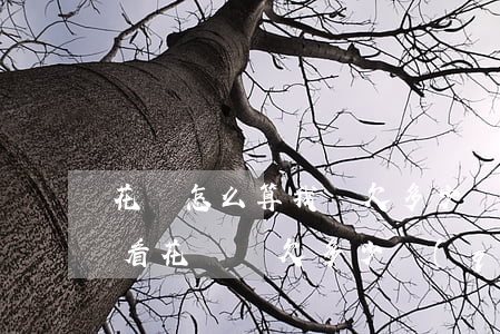 花唄怎么算我還欠多少錢(qián)(怎么看花唄還欠多少錢(qián))