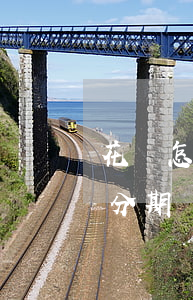 花唄怎么辦理免息分期-花唄怎么辦理免息分期還款