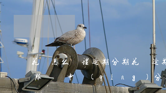 花唄怎么辦理逾期分期(花唄逾期了可以打客服電話申請(qǐng)分期嗎)