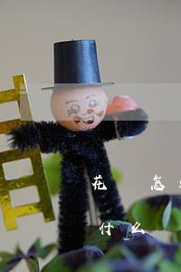 花唄怎么辦理逾期還款(花唄信用卡逾期還有什么辦法貸款)