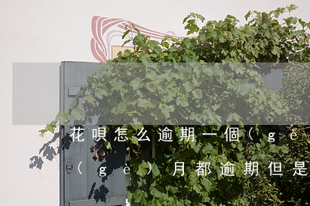 花唄怎么逾期一個(gè)月還款(花唄每個(gè)月都逾期 但是每個(gè)月都還款)