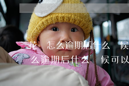 花唄怎么逾期后什么時候可以開通-花唄怎么逾期后什么時候可以開通