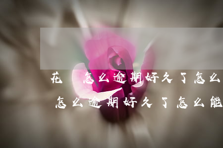 花唄怎么逾期好久了,怎么能只還本金-花唄怎么逾期好久了,怎么能只還本金呢