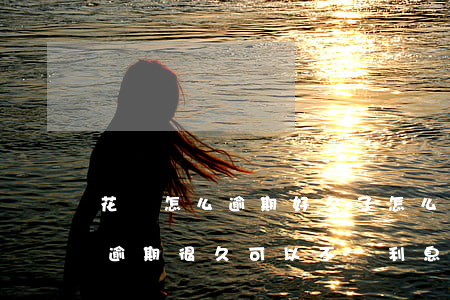 花唄怎么逾期好久了怎么能只還本金-花唄逾期很久,可以不還利息只還本金嗎