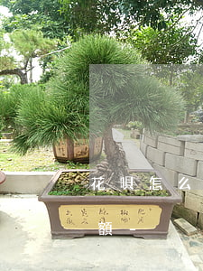 花唄怎么還農(nóng)行信用卡還款金額-