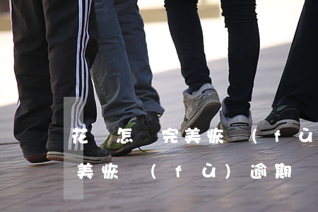 花唄怎樣完美恢復(fù)逾期(花唄怎樣完美恢復(fù)逾期)