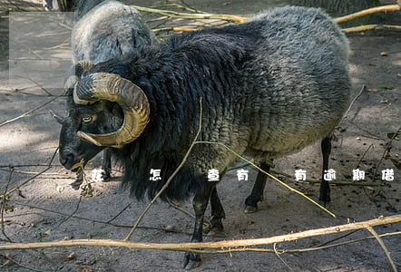 花唄怎樣查有沒有逾期(借唄有逾期怎么查)
