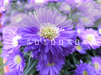 花唄怎樣還花唄的錢-花唄怎樣還花唄的錢呢