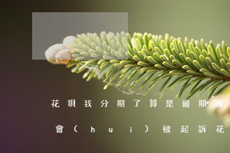 花唄我分期了算是逾期嗎(花唄分期逾期多久會(huì)被起訴?花唄逾期被起訴怎么辦)