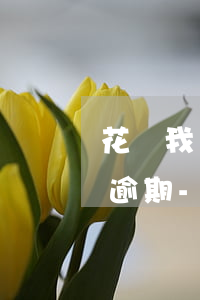 花唄我還了款了為什么還說(shuō)是逾期-花唄我還了款了為什么還說(shuō)是逾期了