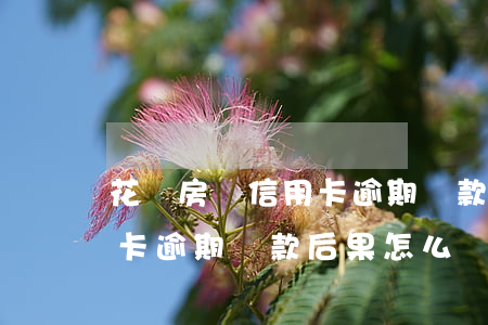 花唄房貸信用卡逾期還款后果 花唄房貸信用卡逾期還款后果怎么樣