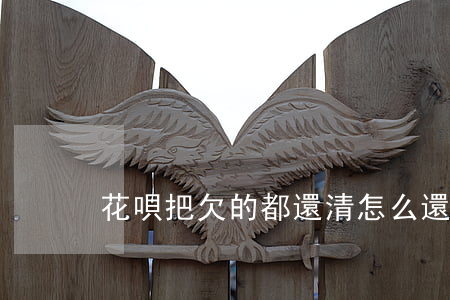 花唄把欠的都還清怎么還(花唄怎樣才能還清)