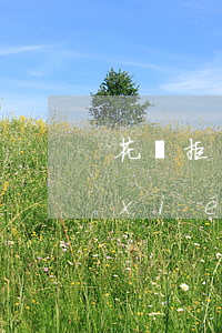 花唄拒絕協(xié)商還款（花唄逾期協(xié)商還款不同意）