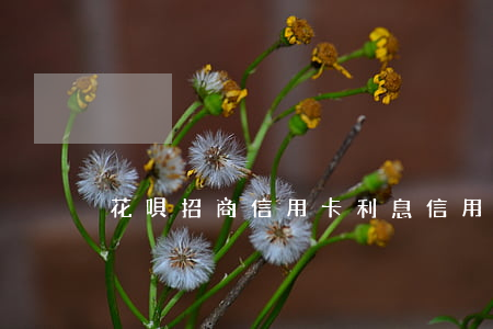 花唄招商信用卡利息(信用卡 花唄 利息)