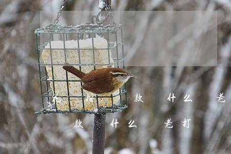 花唄按時還款為什么還老打電話-花唄按時還款為什么還老打電話呢