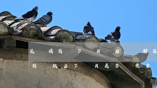 花唄提前還下個月還用還嗎，解答疑惑：花唄提前還款后，下個月是否還需要繼續(xù)還款？