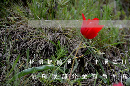 花唄提前還了一半還款日還用還嗎-花唄提前還款部分金額后到還款日還需要最低還款嗎