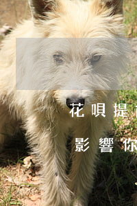 花唄提前還了還說逾期(花唄逾期還款有什么影響?你敢不還款嗎)