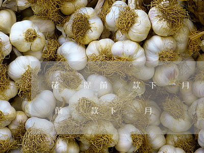 花唄提前還款下個月賬單還要還嗎-花唄提前還款下個月賬單還要還嗎怎么還