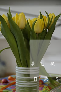 花唄提前還款了怎么還顯示賬單-花唄提前還款了怎么還顯示賬單異常