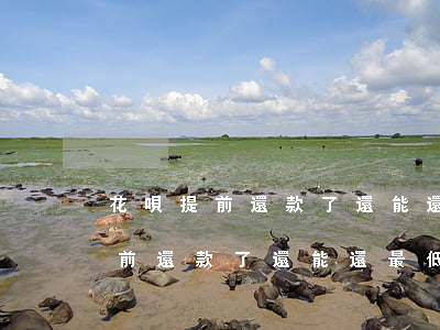 花唄提前還款了還能還最低還款嗎-花唄提前還款了還能還最低還款嗎安全嗎