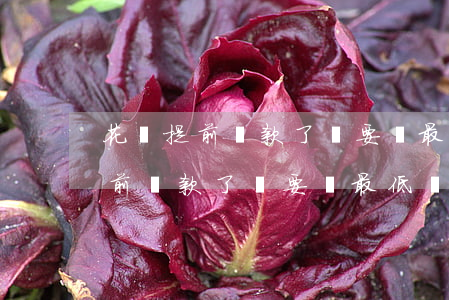 花唄提前還款了還要還最低還款嗎-花唄提前還款了還要還最低還款嗎怎么辦