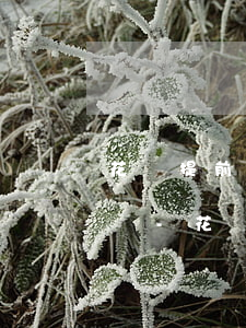 花唄提前還款以后再用什么時(shí)候還-花唄提前還款以后再用什么時(shí)候還款