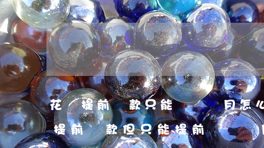 花唄提前還款只能還兩個月怎么還-花唄想提前還款但只能提前還兩個月