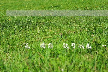 花唄提前還款可以先還一部分嘛-